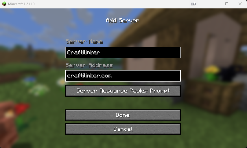 Captura de pantalla mostrando la configuración de la dirección del servidor