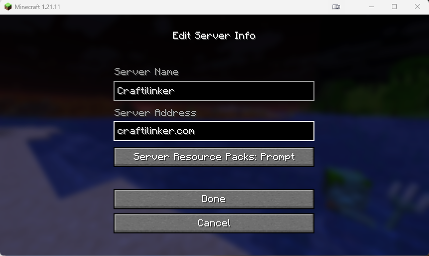 Captura de pantalla mostrando la configuración de la dirección del servidor