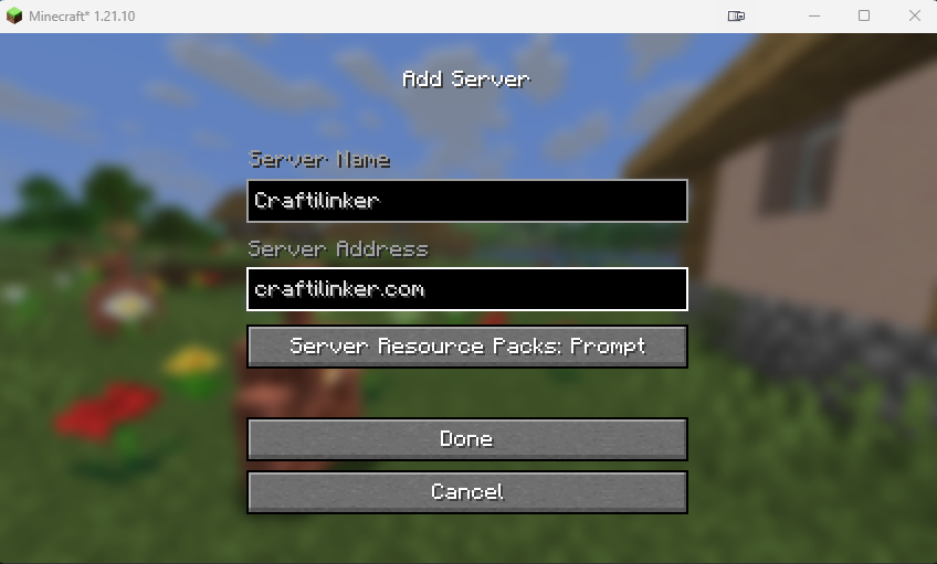 Captura de pantalla mostrando la configuración de la dirección del servidor